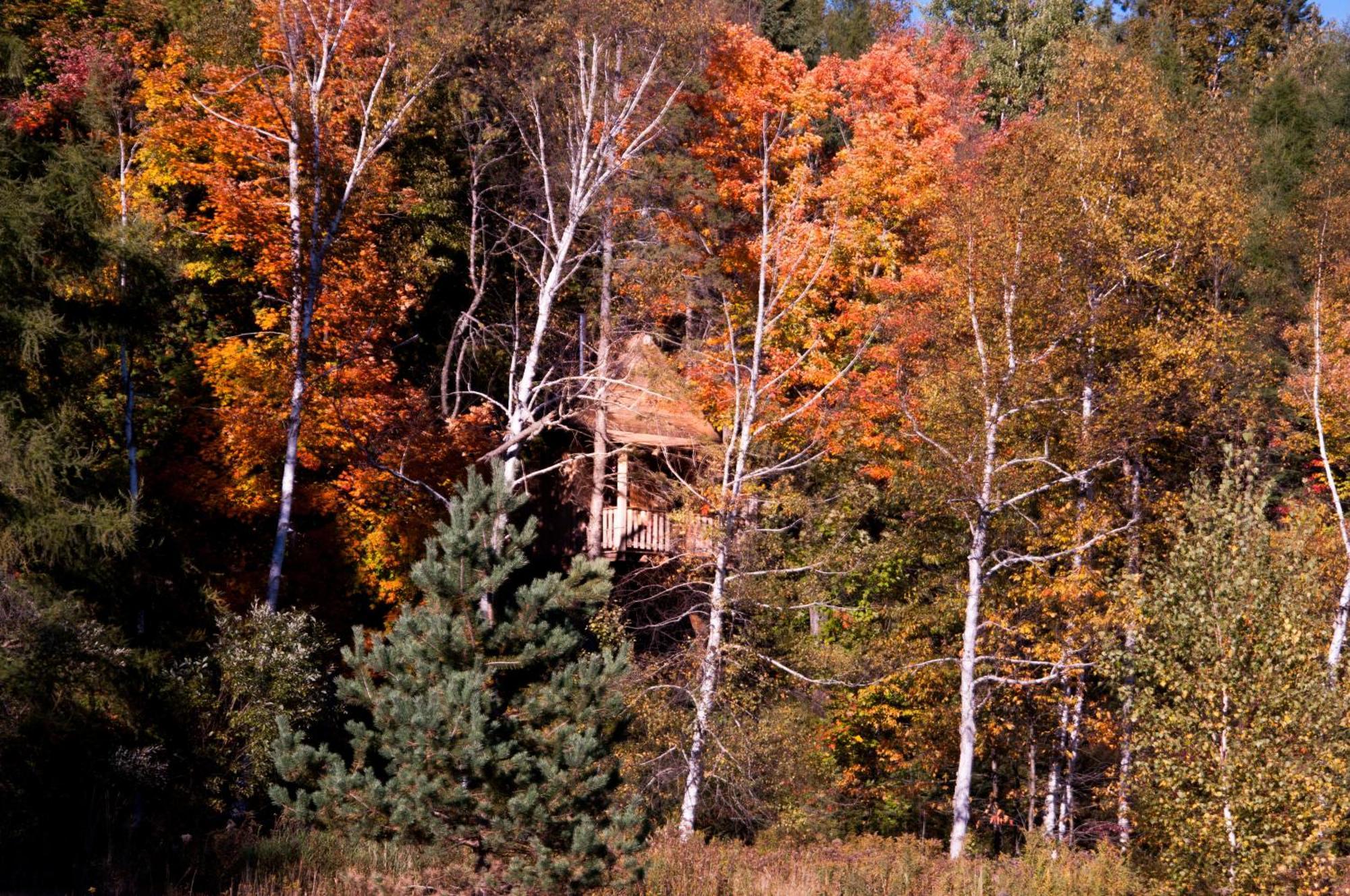 Les Cabanes Du Trappeur Wentworth-Nord المظهر الخارجي الصورة