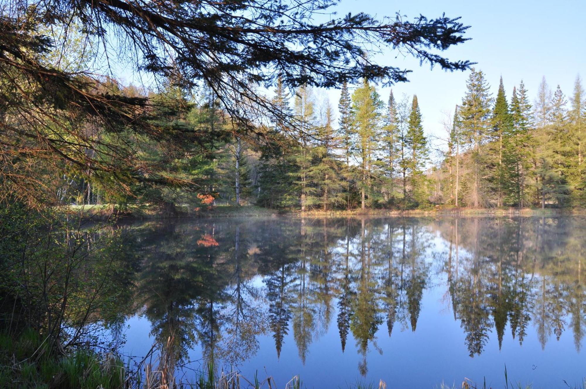 Les Cabanes Du Trappeur Wentworth-Nord المظهر الخارجي الصورة