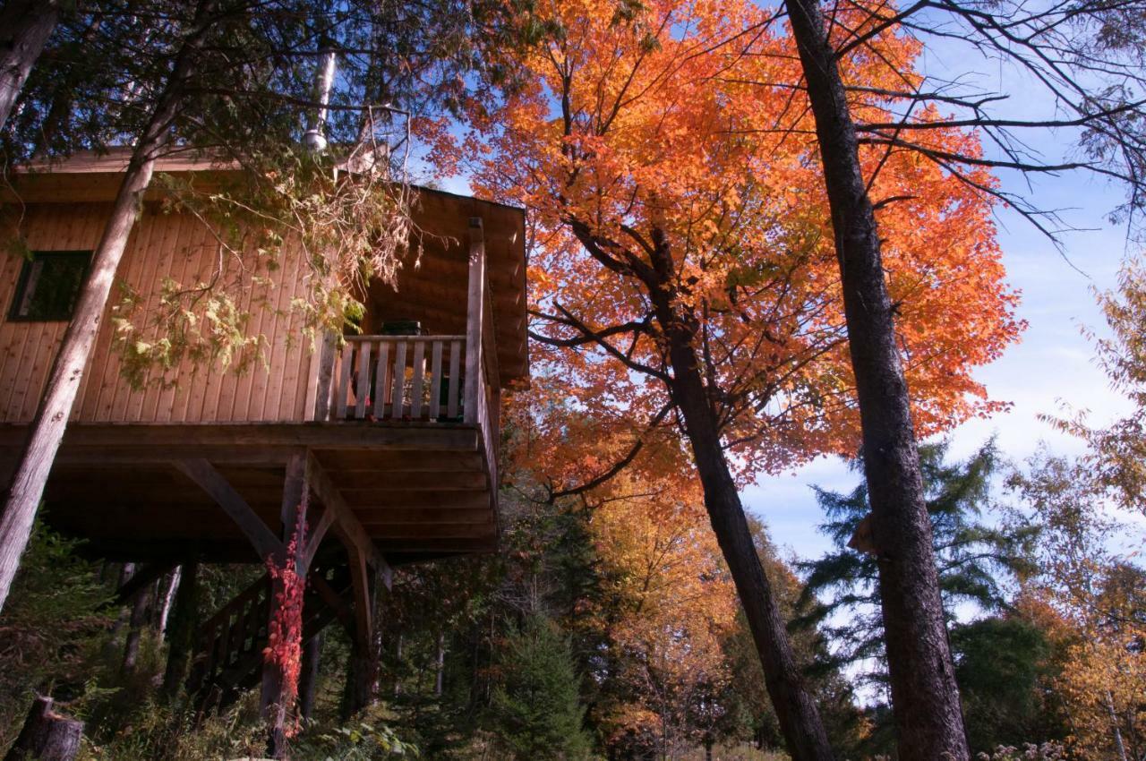 Les Cabanes Du Trappeur Wentworth-Nord المظهر الخارجي الصورة