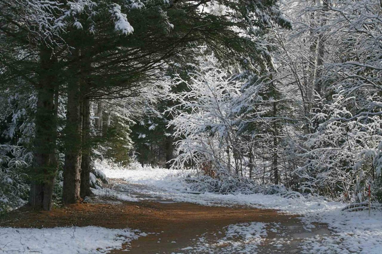 Les Cabanes Du Trappeur Wentworth-Nord المظهر الخارجي الصورة